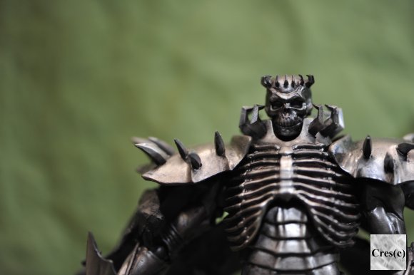 髑髏の騎士 / ベルセルク